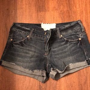 Altair’s State Shorts